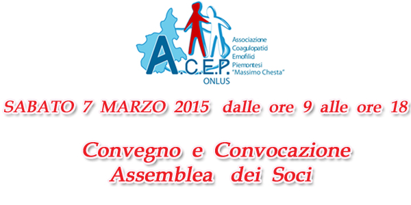 600x300 assemblea 2015