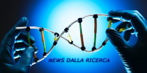 NEWS DALLA RICERCA 3 300 dpi  600x300(1)